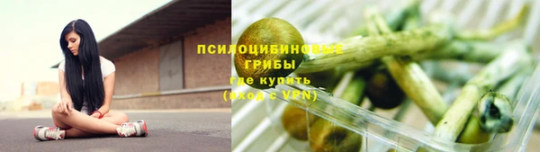 прущая мука Абаза