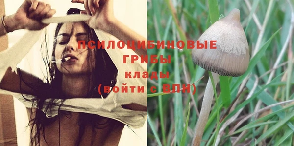 PSILOCYBIN Абдулино