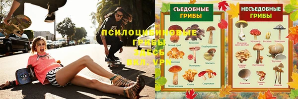 шишки Алзамай