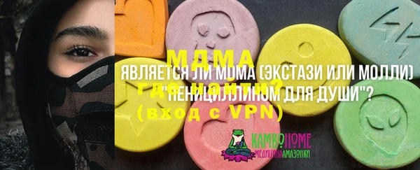 дмт Алексин