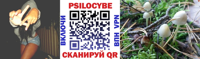 Псилоцибиновые грибы ЛСД  Мостовской 